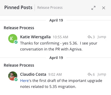 Review the list of pinned messages.