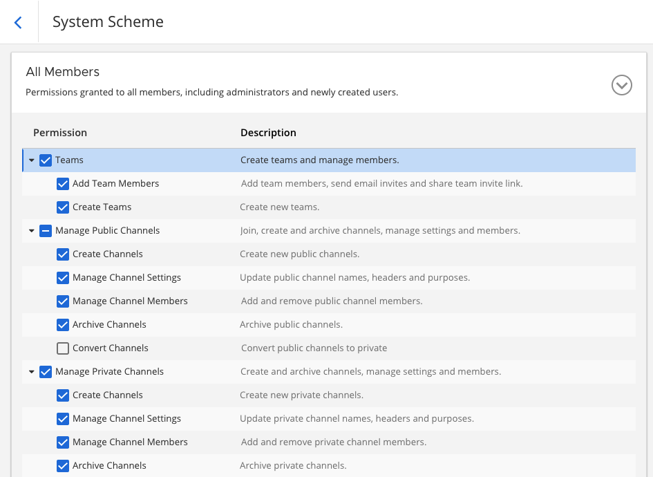 Control product access with granular Mattermost permissions.