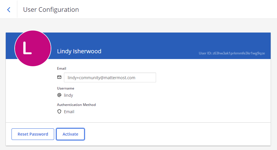 Activate a user in Mattermost using the System Console.