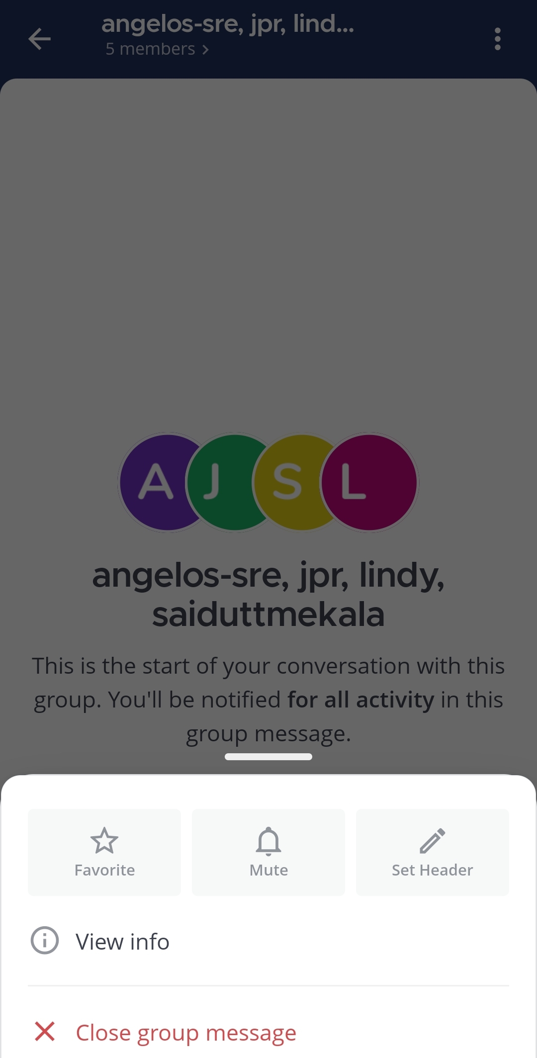 Tap on View info to see the basic group info.