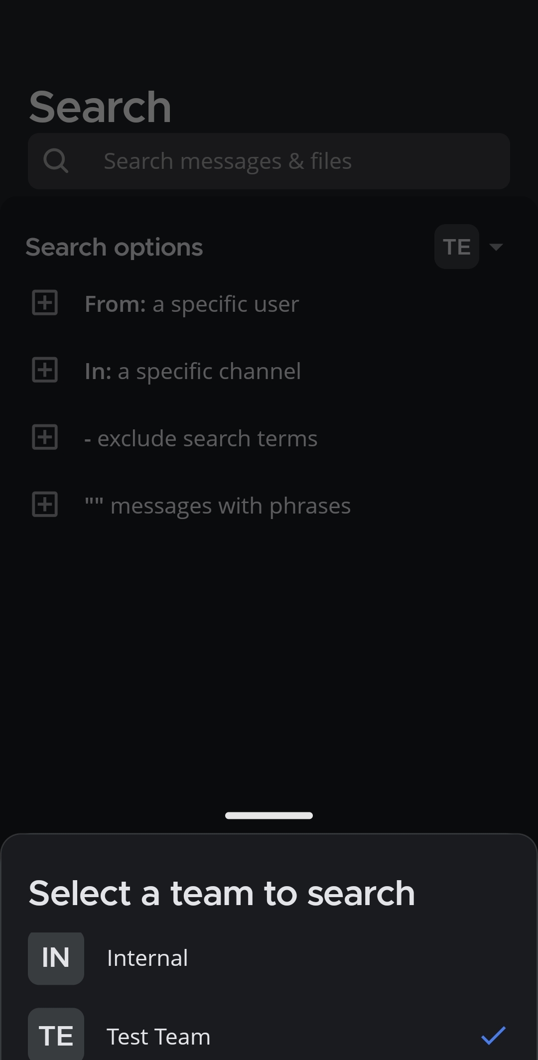 Tap on the Team selector to select the team you want to search in.
