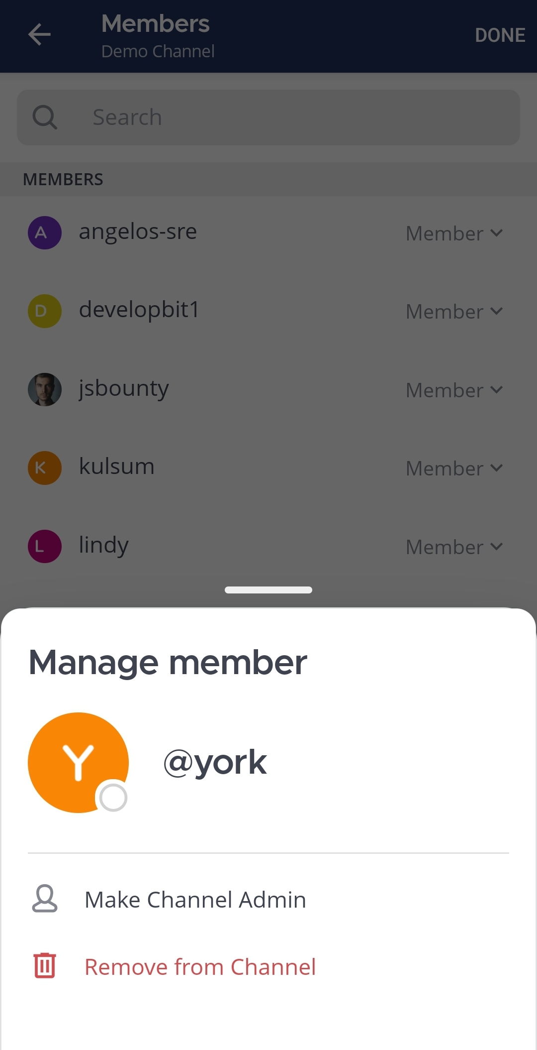 Tap on Remove from channel to remove the selected user.
