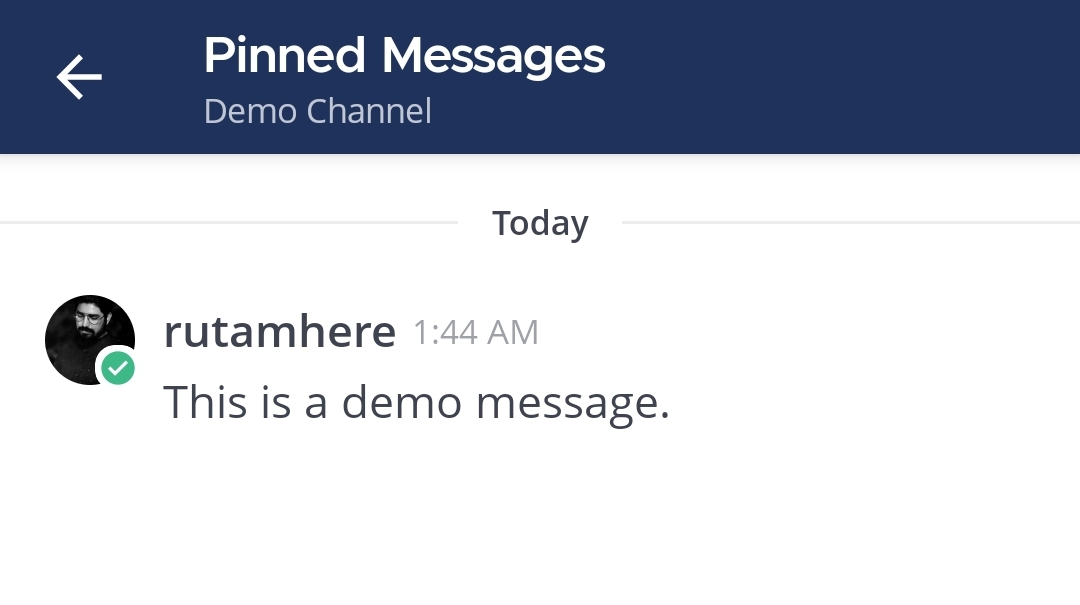 View the specific pinned message you want to see from the list.