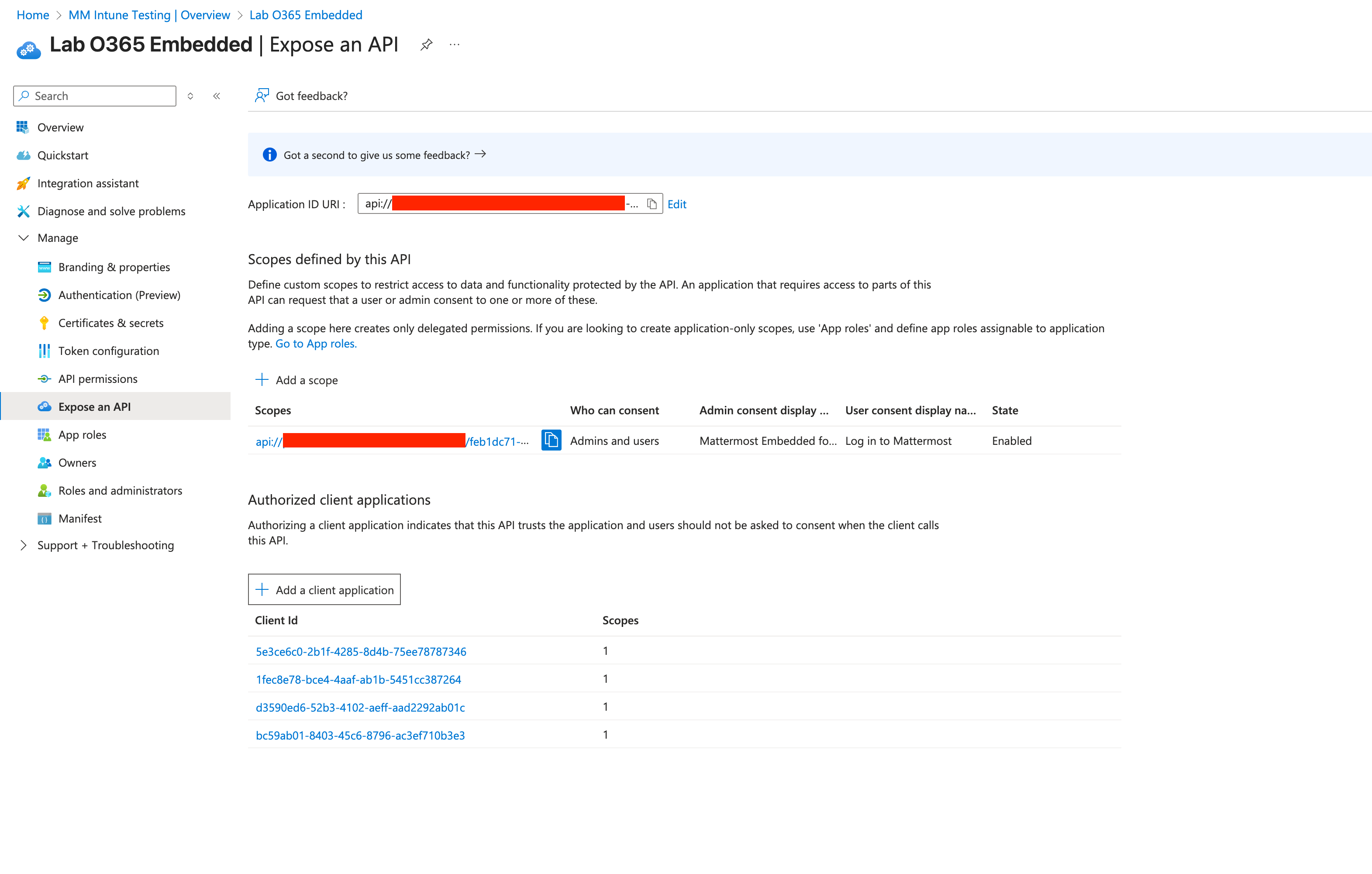 ../_images/AzureApp_New_Registration_MSEmbedded_ExposeAPI.png